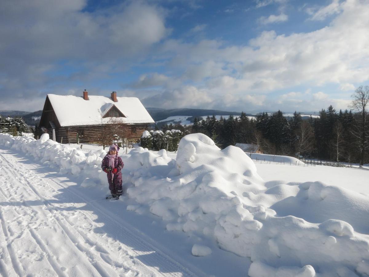 Roubenka Elisabeth Hotel Jablonné nad Orlicí Buitenkant foto